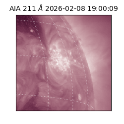 saia - 2026-02-08T19:00:09.632000