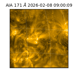 saia - 2026-02-08T09:00:09.350000