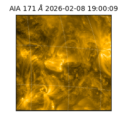 saia - 2026-02-08T19:00:09.349000