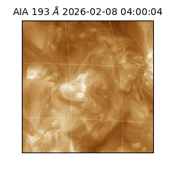 saia - 2026-02-08T04:00:04.843000