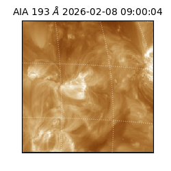 saia - 2026-02-08T09:00:04.843000