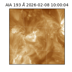 saia - 2026-02-08T10:00:04.843000