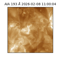 saia - 2026-02-08T11:00:04.843000