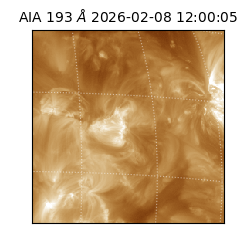 saia - 2026-02-08T12:00:05.232000