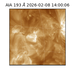 saia - 2026-02-08T14:00:06.599000