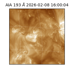 saia - 2026-02-08T16:00:04.843000