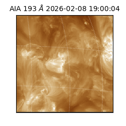 saia - 2026-02-08T19:00:04.843000