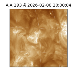 saia - 2026-02-08T20:00:04.846000