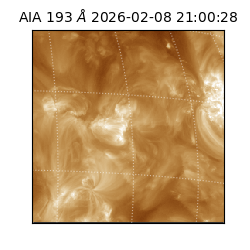 saia - 2026-02-08T21:00:28.835000