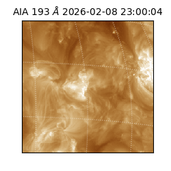 saia - 2026-02-08T23:00:04.846000