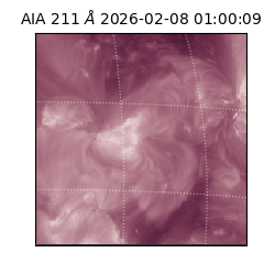 saia - 2026-02-08T01:00:09.629000