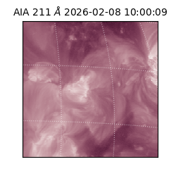 saia - 2026-02-08T10:00:09.626000