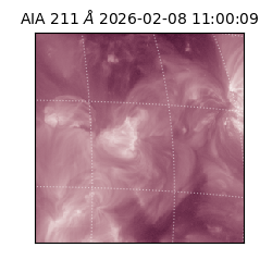 saia - 2026-02-08T11:00:09.630000