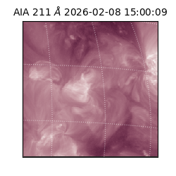 saia - 2026-02-08T15:00:09.629000