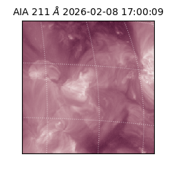saia - 2026-02-08T17:00:09.630000