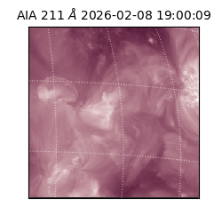 saia - 2026-02-08T19:00:09.632000