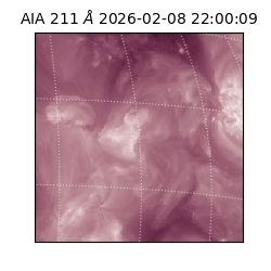 saia - 2026-02-08T22:00:09.626000