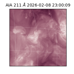 saia - 2026-02-08T23:00:09.626000