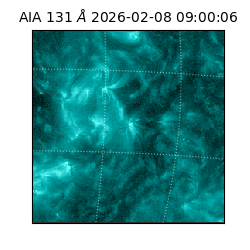 saia - 2026-02-08T09:00:06.623000