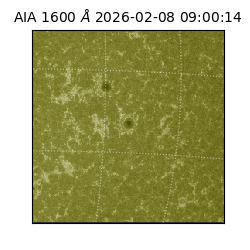 saia - 2026-02-08T09:00:14.133000