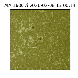 saia - 2026-02-08T13:00:14.129000