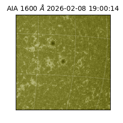 saia - 2026-02-08T19:00:14.126000