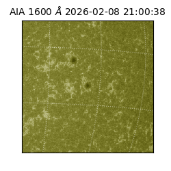 saia - 2026-02-08T21:00:38.118000