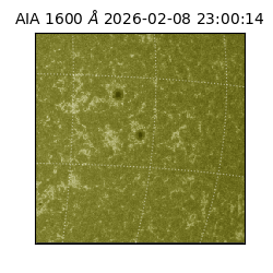 saia - 2026-02-08T23:00:14.126000