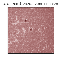 saia - 2026-02-08T11:00:28.718000