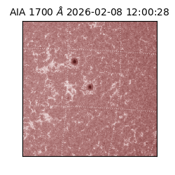 saia - 2026-02-08T12:00:28.717000