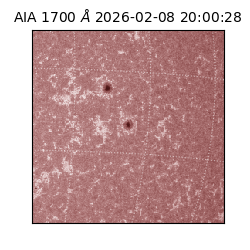 saia - 2026-02-08T20:00:28.719000