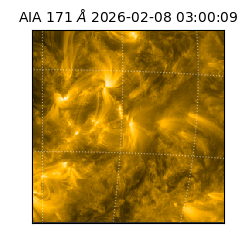 saia - 2026-02-08T03:00:09.349000