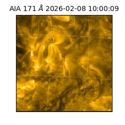 saia - 2026-02-08T10:00:09.349000