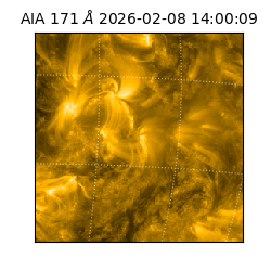 saia - 2026-02-08T14:00:09.342000