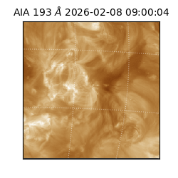 saia - 2026-02-08T09:00:04.843000