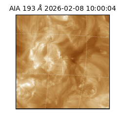 saia - 2026-02-08T10:00:04.843000