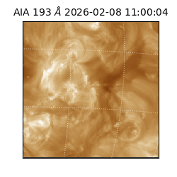 saia - 2026-02-08T11:00:04.843000