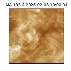 saia - 2026-02-08T19:00:04.843000
