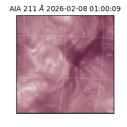 saia - 2026-02-08T01:00:09.629000