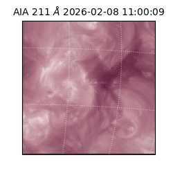 saia - 2026-02-08T11:00:09.630000