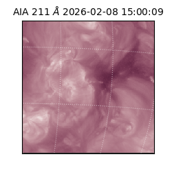 saia - 2026-02-08T15:00:09.629000