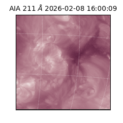 saia - 2026-02-08T16:00:09.625000