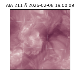 saia - 2026-02-08T19:00:09.632000