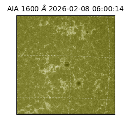 saia - 2026-02-08T06:00:14.126000