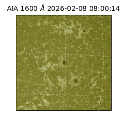 saia - 2026-02-08T08:00:14.126000