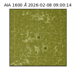 saia - 2026-02-08T09:00:14.133000