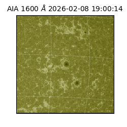 saia - 2026-02-08T19:00:14.126000