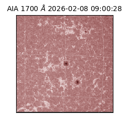 saia - 2026-02-08T09:00:28.718000