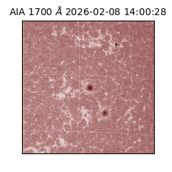 saia - 2026-02-08T14:00:28.717000