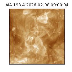 saia - 2026-02-08T09:00:04.843000